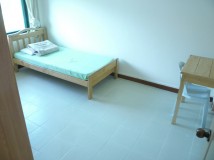 [세부] English Fella