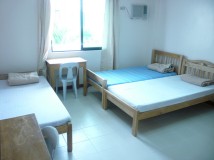 [세부] English Fella