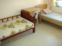 [세부] English Fella